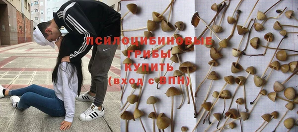 каннабис Горно-Алтайск