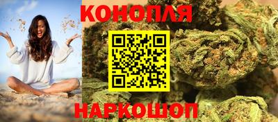 сатива Заводоуковск