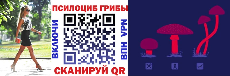 купить закладку  Москва  площадка состав  Псилоцибиновые грибы ЛСД 